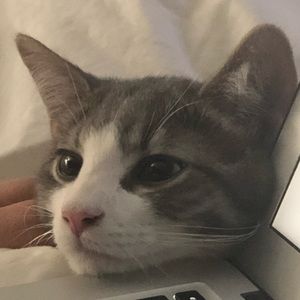 Meet your Posher, Jason